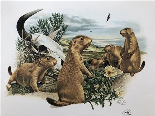 Art & Collectibles > Prints > Lithographs - Richard Timm, Prairie Dog, Signed Print, 28x22 Wade Collection, Plate 29 by Th...