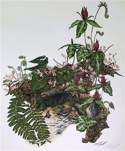 Maryrose Wampler, Trillium, Signed Print, 28x22 Wall Art, Plate 21