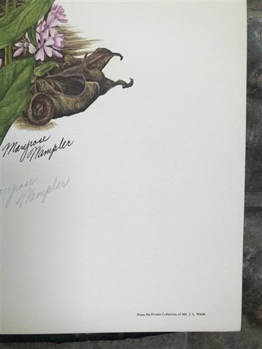 Art & Collectibles > Prints > Lithographs - Maryrose Wampler, Bluebells, Signed Print, 28x22 Wall Art, Plate 27 by The Old...