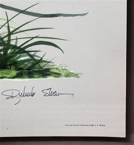 Art & Collectibles > Prints > Lithographs - Richard Sloan, Brown Thrasher, Signed Print, 28x22, Wade Collection, Plate 22...