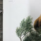 Art & Collectibles > Prints > Lithographs - Richard Timm, Wolverine, Signed Print, 28x22 Wade Collection, Plate 14 by The...