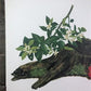Art & Collectibles > Prints > Lithographs - Maryrose Wampler, Hibiscus Orange Blossom, Signed Print, 28x22 Wall Art, Plate...