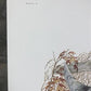 Art & Collectibles > Prints > Lithographs - Ernest Hart, English Setters, Signed Dog Print, 28x22, Wade Collection, Plate...