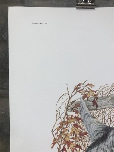 Art & Collectibles > Prints > Lithographs - Ernest Hart, English Setters, Signed Dog Print, 28x22, Wade Collection, Plate...