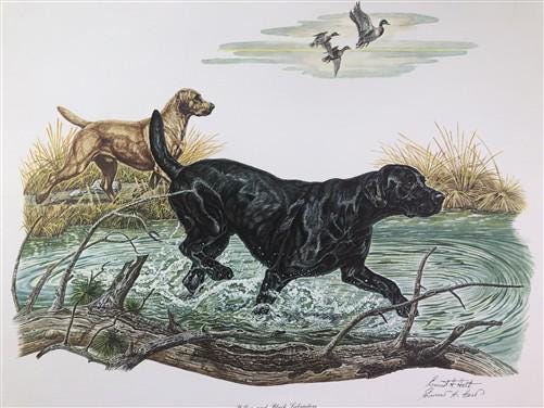 Art & Collectibles > Prints > Lithographs - Ernest Hart, Labrador, Signed Dog Print, 28x22, Wade Collection, Plate 5 by Th...
