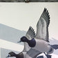 Art & Collectibles > Prints > Lithographs - Richard Sloan, Lesser Scaup, Signed Print, 28x22, Wade Collection, Plate 49 by...