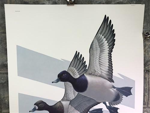 Art & Collectibles > Prints > Lithographs - Richard Sloan, Lesser Scaup, Signed Print, 28x22, Wade Collection, Plate 49 by...