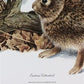 Art & Collectibles > Prints > Lithographs - Richard Timm, Eastern Cottontail, Signed Print, 28x22 Wade Collection, Plate 9...