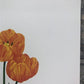 Art & Collectibles > Prints > Lithographs - Maryrose Wampler, Spring Bulbs, Signed Print, 28x22 Wall Art, Plate 26 by The...