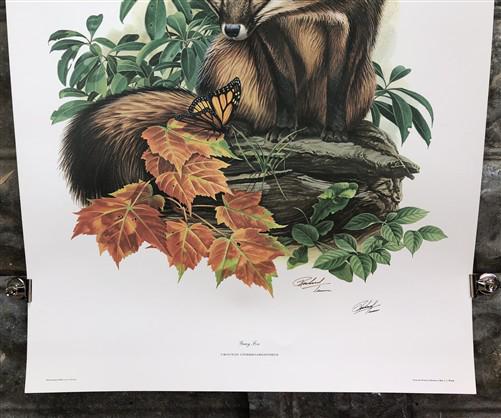 Art & Collectibles > Prints > Lithographs - Richard Timm, Gray Fox, Signed Print, 28x22 Wade Collection, Plate 19 by The O...