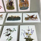 Art & Collectibles > Prints - 15 Miniature 4x5 Richard Sloan North American Bird Art Prints, Nature House A by The Old Gra...