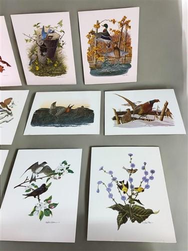Art & Collectibles > Prints - 15 Miniature 4x5 Richard Sloan North American Bird Art Prints, Nature House A by The Old Gra...