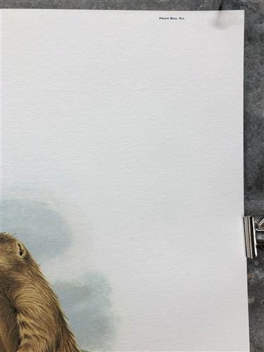 Art & Collectibles > Prints > Lithographs - Richard Timm, Prairie Dog, Signed Print, 28x22 Wade Collection, Plate 29 by Th...