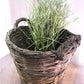 Home & Living > Home Decor > Decorative Storage > Decorative Baskets - Round Wicker Basket, Vintage German Woven Rattan Ba...