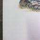 Art & Collectibles > Prints > Lithographs - Richard Timm, Musk Ox, Signed Print, 28x22 Wade Collection, Plate 40 by The Ol...