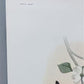 Art & Collectibles > Prints > Lithographs - Richard Sloan, Flycatcher, Signed Print, 28x22, Wade Collection, Plate 28 by T...