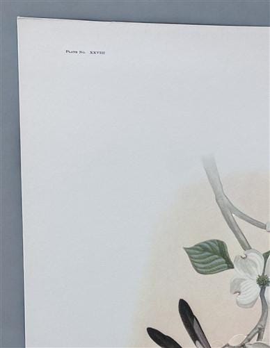 Art & Collectibles > Prints > Lithographs - Richard Sloan, Flycatcher, Signed Print, 28x22, Wade Collection, Plate 28 by T...