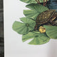 Art & Collectibles > Prints > Lithographs - Richard Timm, Mink, Signed Print, 28x22 Wade Collection, Plate 22 by The Old G...