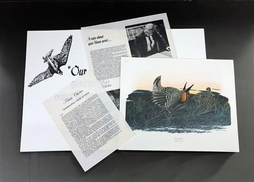 Art & Collectibles > Prints > Lithographs - Richard Sloan, Prairie Chicken, Signed Print, 11x14, Essay, Sketches, Plate 11...