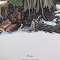 Art & Collectibles > Prints > Lithographs - Richard Timm, Porcupine, Signed Print, 28x22 Wade Collection, Plate 35 by The...