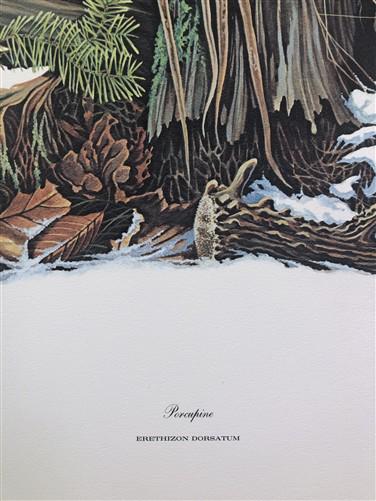 Art & Collectibles > Prints > Lithographs - Richard Timm, Porcupine, Signed Print, 28x22 Wade Collection, Plate 35 by The...