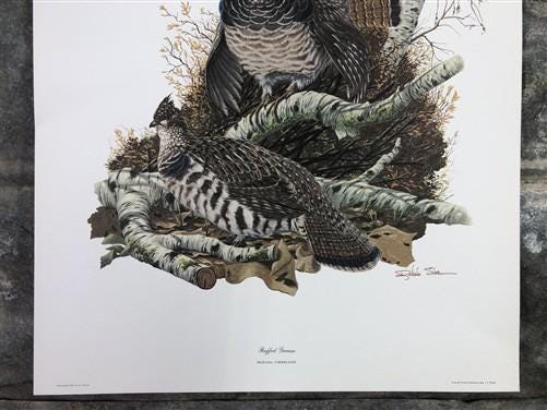 Art & Collectibles > Prints > Lithographs - Richard Sloan, Ruffled Grouse, Signed Print, 11x14, Essay, Sketches, Plate 12...