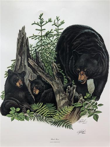 Art & Collectibles > Prints > Lithographs - Richard Timm, Black Bear, Signed Print, 28x22 Wade Collection, Plate 24 by The...