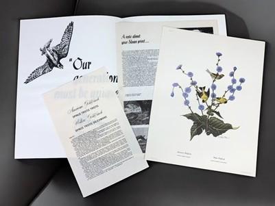 Art & Collectibles > Prints > Lithographs - Richard Sloan, Goldfinch, Signed Print, 11x14, Essay, Sketches, Plate 15 by Th...