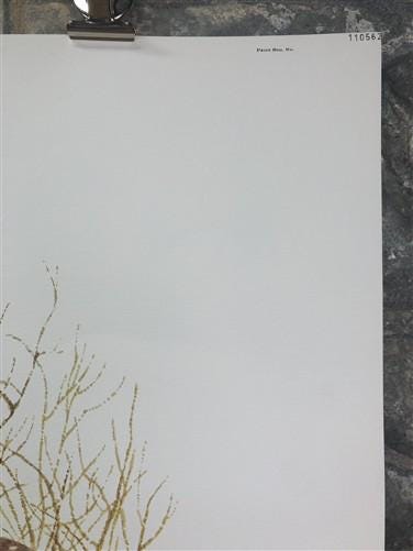 Art & Collectibles > Prints > Lithographs - Ernest Hart, English Pointer, Signed Dog Print, 28x22, Wade Collection, Plate...