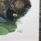 Art & Collectibles > Prints > Lithographs - Richard Timm, Mink, Signed Print, 28x22 Wade Collection, Plate 22 by The Old G...
