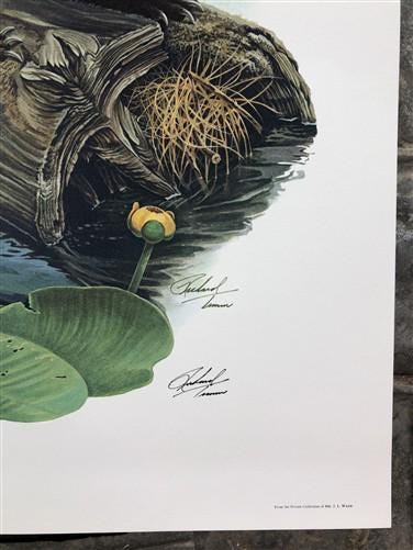 Art & Collectibles > Prints > Lithographs - Richard Timm, Mink, Signed Print, 28x22 Wade Collection, Plate 22 by The Old G...