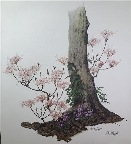 Art & Collectibles > Prints > Lithographs - Maryrose Wampler, Piedmont Azalea Violet, Signed Print, 28x22 Wall Art, Plate...