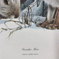 Art & Collectibles > Prints > Lithographs - Richard Timm, Snowshoe Hare, Signed Print, 28x22 Wade Collection, Plate 25 by...