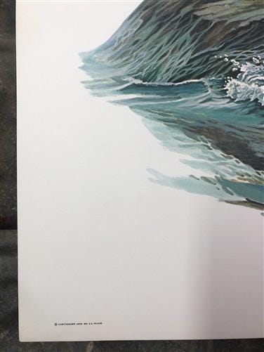 Art & Collectibles > Prints > Lithographs - Richard Timm, California Sea Lion, Signed Print, 28x22 Wade Collection, Plate...