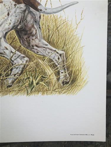 Art & Collectibles > Prints > Lithographs - Ernest Hart, English Pointer, Signed Dog Print, 28x22, Wade Collection, Plate...