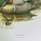 Art & Collectibles > Prints > Lithographs - Richard Sloan, Green Winged Teal, Signed Print, 28x22, Wade Collection, Plate...