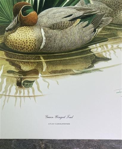 Art & Collectibles > Prints > Lithographs - Richard Sloan, Green Winged Teal, Signed Print, 28x22, Wade Collection, Plate...
