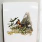 Art & Collectibles > Prints - 15 Miniature 4x5 Richard Sloan North American Bird Art Prints, Nature House A by The Old Gra...