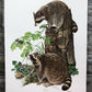 Art & Collectibles > Prints > Lithographs - Richard Timm, Racoon, Signed Prints, 28x22 Wade Collection, Plate 2 by The Old...