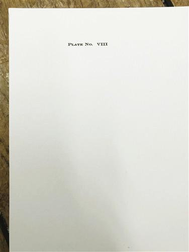 Art & Collectibles > Prints > Lithographs - Richard Timm, Bobcat, Signed Print, 28x22 Wade Collection, Plate 8 by The Old...
