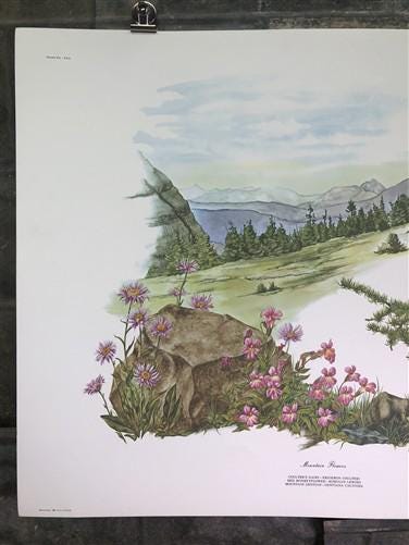 Art & Collectibles > Prints > Lithographs - Maryrose Wampler, Mountain Flowers, Signed Print, 28x22 Wall Art, Plate 30 by...