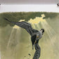 Art & Collectibles > Prints > Lithographs - Richard Sloan, Peregrine Falcon, Signed Print, 11x14, Essay, Sketches, Plate 1...
