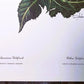 Art & Collectibles > Prints > Lithographs - Richard Sloan, Goldfinch, Signed Print, 28x22, Wade Collection, Plate 15 by Th...
