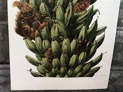 Art & Collectibles > Prints - Axel Amuchastegui, Squirrels, 20.75x14 South American Wildlife Art Print N by The Old Graine...