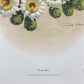 Art & Collectibles > Prints > Lithographs - Richard Sloan, Cactus Wren, Signed Print, 28x22, Wade Collection, Plate 26 by...