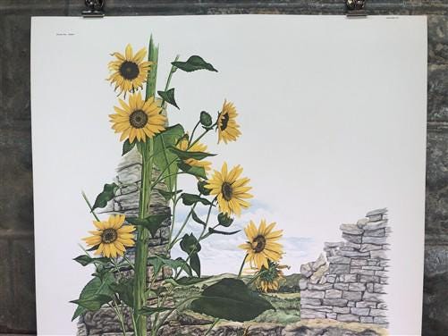 Art & Collectibles > Prints > Lithographs - Maryrose Wampler, Common Sunflower, Signed Print, 28x22 Wall Art, Plate 24 by...