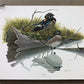 Art & Collectibles > Prints > Lithographs - Richard Sloan, Wood Duck, Signed Print, 11x14, Essay, Sketches, Plate 8 by The...