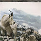 Art & Collectibles > Prints > Lithographs - Richard Timm, Mountain Goat, Signed Print, 28x22 Wade Collection, Plate 26 by...