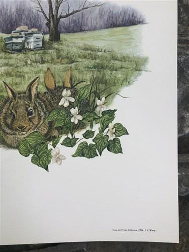 Maryrose Wampler, Peach Blossom, Signed Print, 28x22 Wall Art, Plate 16