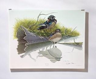 Art & Collectibles > Prints > Lithographs - Richard Sloan, Wood Duck, Signed Print, 28x22, Wade Collection, Plate 8 by The...